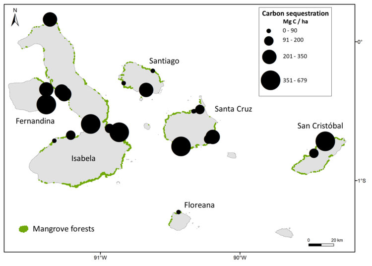 Figura 3. Carbono almacenado en el suelo en 29 localidades de Galápagos, de Tanner et al. 2019. Mg C / ha es toneladas de carbono por hectárea. Clic para agrandar.