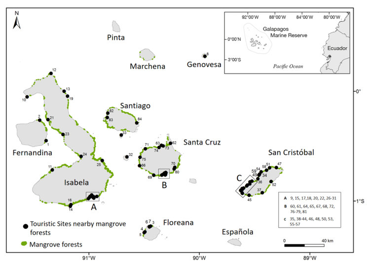 Figura 6. Sitios de visita en Galápagos basados en manglares, representados por puntos negros. Clic para agrandar.