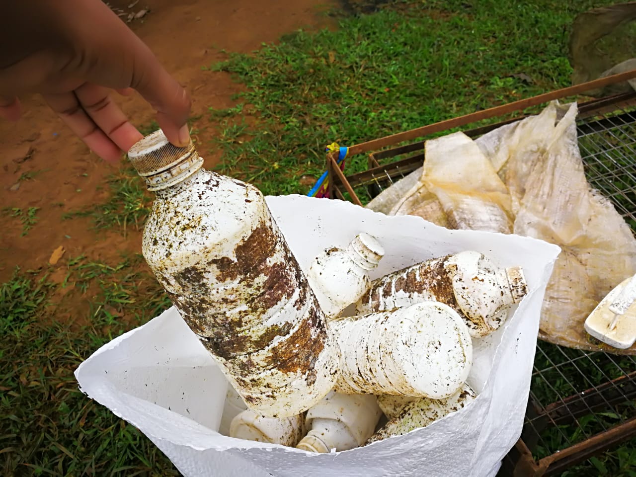 Figura 5. Envases de agroquímicos recolectados en la minga Campo Limpio