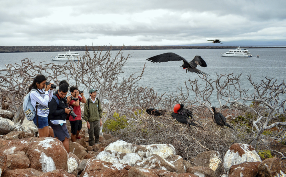 Figure 16. Field trip to North Seymour Island. Photo: Andrés Morales