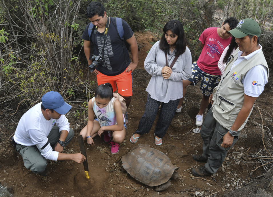 Figure 7. Field expedition to monitor giant tortoise nests. Photo: Diego Bermeo