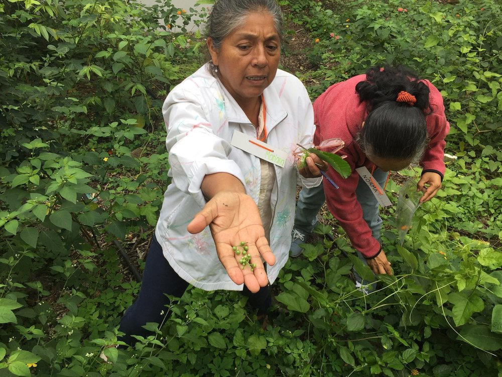 Figure 1. A Santa Cruz teacher participates in a workshop about natural science lessons that get students out of the classroom. Photo: Buró Comunicación Integral