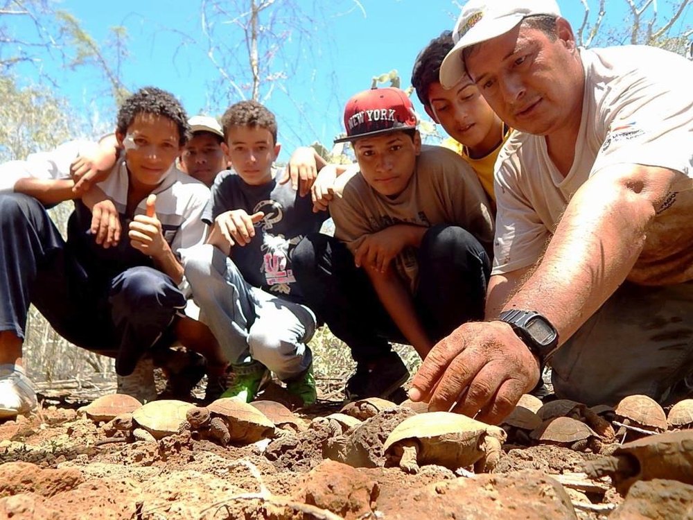 Figure 1. During field trips with park rangers, students help newly hatched tortoises leave their nests. Photo: EPI Archive