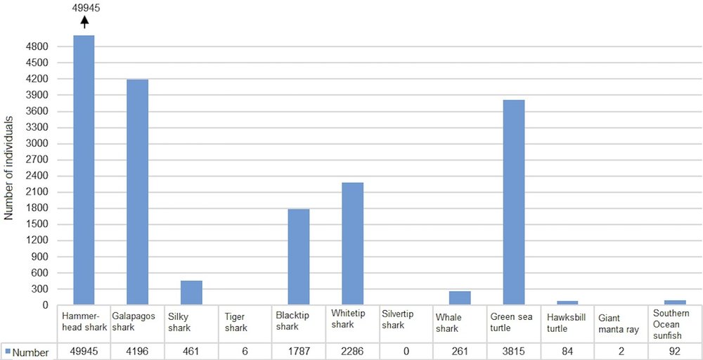 Figure 2. Total number of observations of different species, as reported via the Shark Count App.