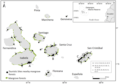 Figure 6. Mangrove-based tourism sites in Galapagos, represented by black dots.