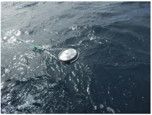 Figure 8. Satellite buoy. Photo: José Marín Jarrín, Fundación Charles Darwin