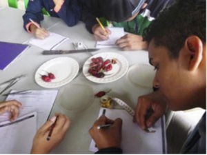 Figure 6. Using the scientific method, a student from the Colegio Nacional Galápagos analyses data to affirm or reject his hypothesis. Photo: EPI Archive