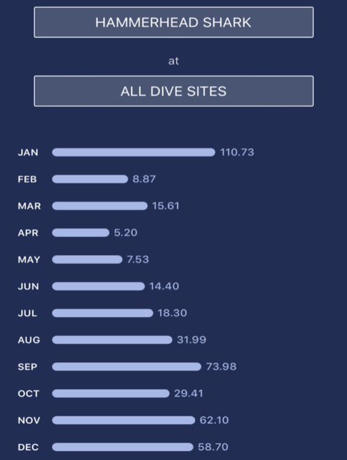 Figure 3. The average number of hammerhead sharks observed per hour of diving each month. Source: Shark Count.