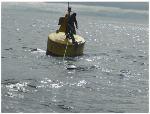 Figure 7. FAD with satellite buoy installed. The satellite buoy records the biomass of fish in the vicinity of the FAD. Photo: José Marín Jarrín, Fundación Charles Darwin